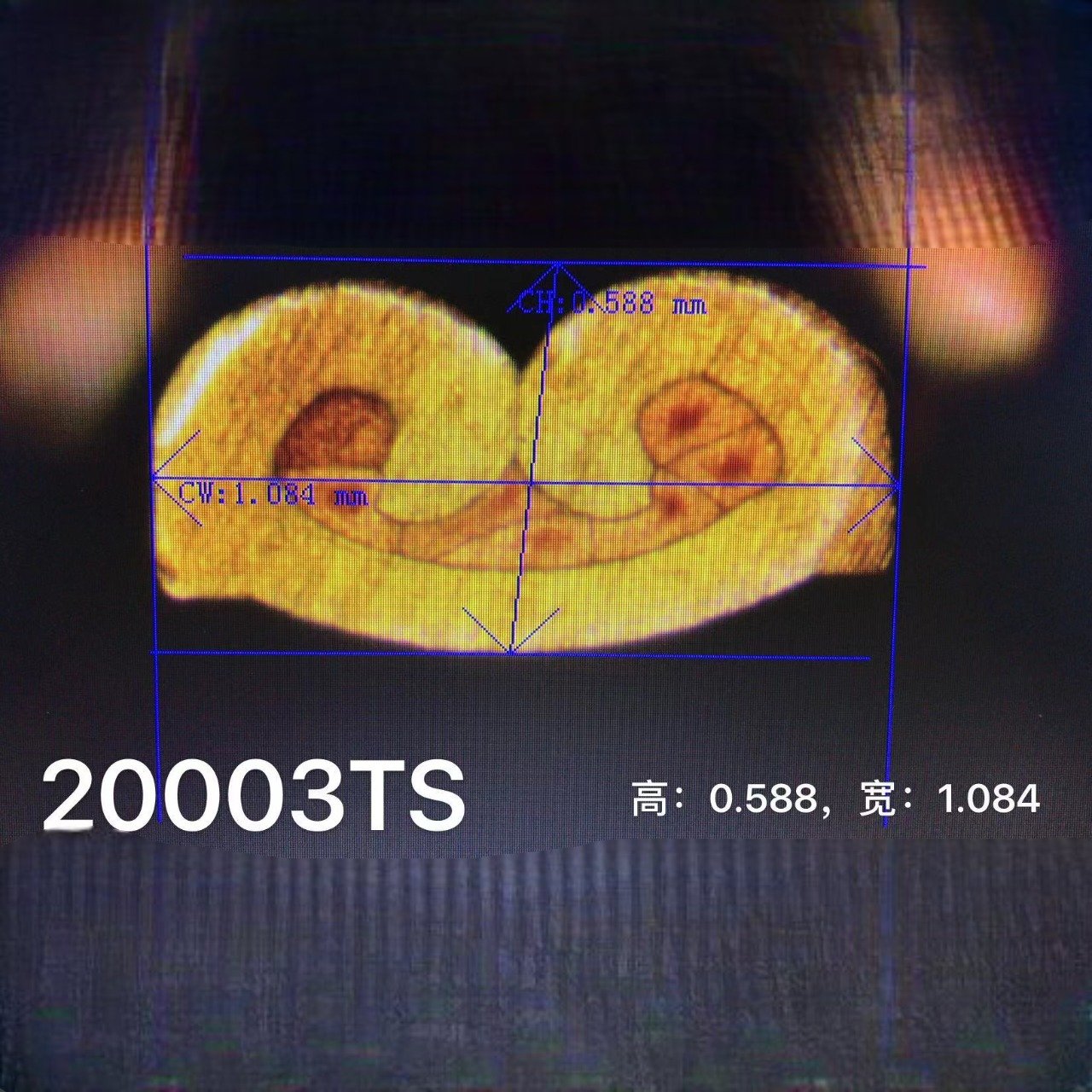 HH-300Q  Portable Terminal Cross-section Analyzing Machine