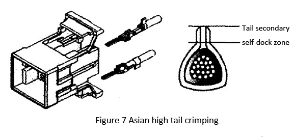 Asian high tail crimping